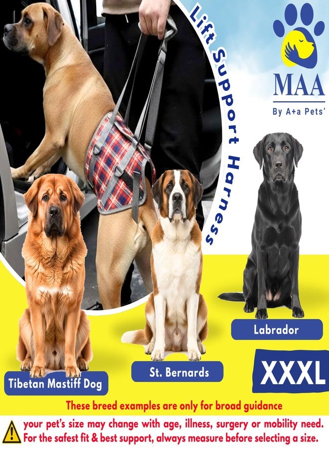 A+a Pets حزام دعم رفع الأرجل الخلفية للكلاب من A+a Pets' MAA' | للكلاب المعاقة والمسنة والمصابة والمشلولة والمصابة بالتهاب المفاصل (أزرق داكن/متعدد الألوان، 3XL) - Image 2